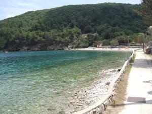 a beach next to a body of water at Apartments and rooms Roberto B. in Valun
