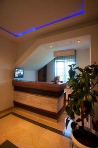 a lobby with a reception desk and a potted plant at Hotel Luka's in Berane