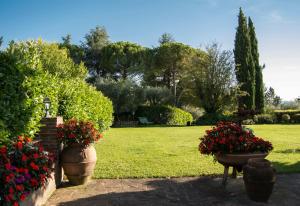 シエナにあるBorgo Villa Risiの庭に大鉢植えの花々が2本ある庭