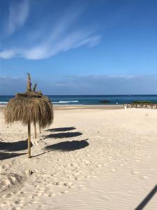 タリファにあるApartamento Gaviotasの海浜の藁傘