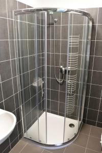 a shower with a glass door in a bathroom at Apartmany U Letiste in Pardubice