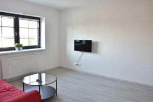 TV i/ili multimedijalni sistem u objektu Apartmany U Letiste