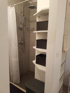 a bathroom with a shower and a walk in shower at Apartment MARI in Ostrvica