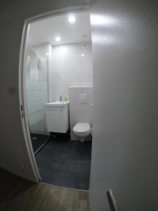 メスにあるCozy Appartement Gare Pompidouのバスルーム(白いトイレ、シンク付)