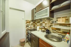 a kitchen with a sink and a stove at Apartman Centar 1 in Podgorica +10 photos