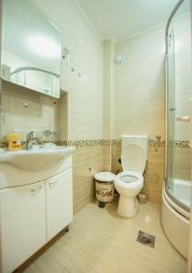 La salle de bains est pourvue de toilettes, d'un lavabo et d'une douche. dans l'établissement Apartman Centar 1, à Podgorica