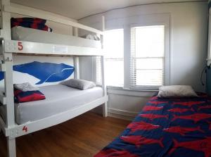 a bedroom with two bunk beds and a bed at Bon Paul & Sharky's Hostel in Asheville