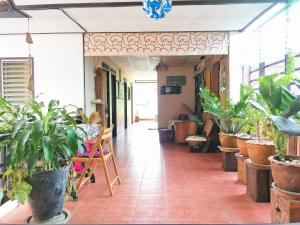 a hallway filled with lots of potted plants at Baan Jaidee Guesthouse in Trat