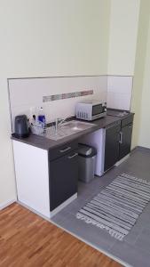 Kuchyň nebo kuchyňský kout v ubytování Gästehaus Schmitt + 5 fotografií
