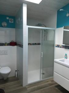 a bathroom with a shower and a toilet and a sink at Les Terrasses de La Malcombe in Besançon