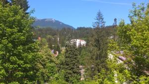 a forest of trees with a mountain in the background at 6 Apartments in Predeal