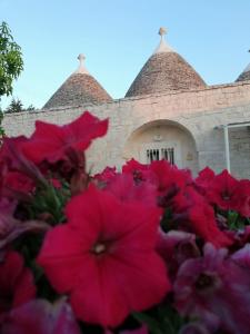 Billede fra billedgalleriet på Antiche Dimore TerraRossa i Alberobello