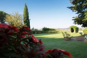 シエナにあるBorgo Villa Risiの緑草・赤花の庭園