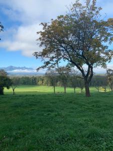 Afbeelding uit fotogalerij van Ferienhaus Schusterhof in Bergen