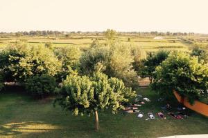 Zahrada ubytování Hotel Marathia