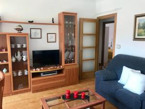TV a/nebo společenská místnost v ubytování Apartamento Laura