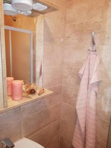 Vannituba majutusasutuses Apartman Arija Zlatibor