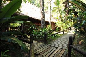 a wooden walkway leading to a cabin in a forest at Ma's Cottage in Sodwana Bay