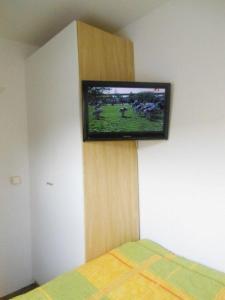 Ferienwohnung-Kaehlerにあるテレビまたはエンターテインメントセンター