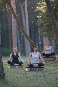 três mulheres sentadas numa pose de ioga na floresta. em Zdrowotel Łeba em Leba