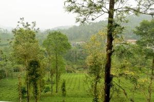 Un paisaje natural cerca de la casa vacacional