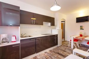 Kuchyňa alebo kuchynka v ubytovaní Apartment Karabaic by El-Pi Tours