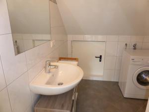 y baño con lavabo y lavadora. en Luxusappartement Haus 157, en Mauterndorf