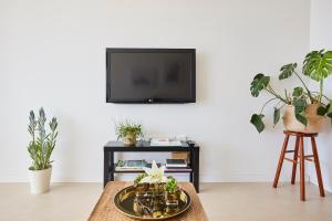 a living room with a tv and a table with plants at Sunny Beachfront Escape in Castelldefels