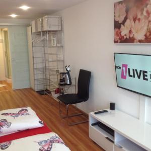 Televiisor ja/või meelelahutuskeskus majutusasutuses Ferienwohnung Sasbachwalden H15 Ap6 mit beheiztem Innenpool und Sauna
