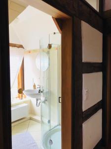 a bathroom with a glass shower and a sink at Ferienhaus im Bauerngarten in Hoyerhagen