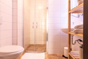 a bathroom with a shower with a toilet and a sink at Familia in Český Krumlov