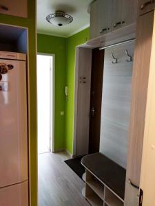 a room with green walls and a refrigerator and a door at Gerassimovi 14 apartment in Narva