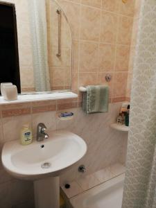 ein Bad mit einem Waschbecken und einer Dusche in der Unterkunft Classic Style Apartment in Belgrad