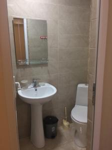 een badkamer met een wastafel, een toilet en een spiegel bij Tamari in Ureki