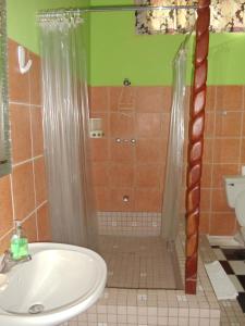 Koupelna v ubytování Villa Des Pitons