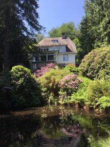 バート・ハルツブルクにあるVilla Elfensteinの花と池のある丘の上の家