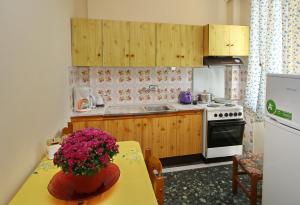 A kitchen or kitchenette at Konstantina’s House