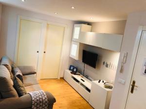 TV a/nebo společenská místnost v ubytování Apartamento Malagueta