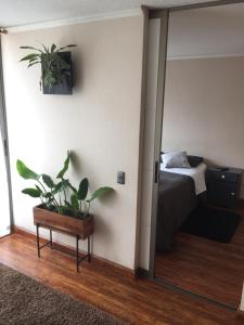 une chambre avec un lit et une plante en pot dans l'établissement Espacio Norte - Iquique Cavancha, à Iquique