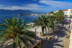 una spiaggia con palme e una bacinella d'acqua di Apartments Duki a Gradac (Grado)