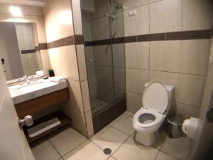 a bathroom with a shower and a toilet and a sink at MLA apartments - Kennedy in Lima +9 photos