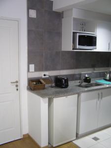una cocina con encimera y microondas en Apart Delacroix, en Santa Fe