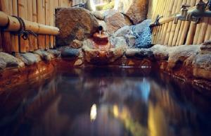 Foto dalla galleria di NOZARU ONSEN HOSTEL a Yamanouchi Altre 25 foto