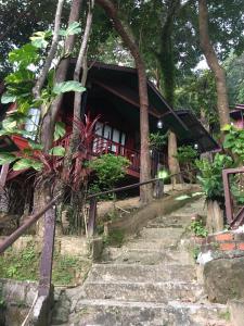 Ein Garten an der Unterkunft Phi Phi Green Hill Resort
