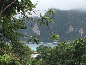 Naturlandschaft in der Nähe des Resorts