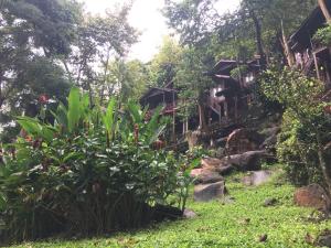 Ein Garten an der Unterkunft Phi Phi Green Hill Resort