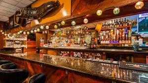 a bar with a lot of drinks on it at Best Western Bidarka Inn in Homer
