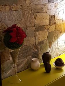 een vaas met een rode bloem op een tafel bij Paola's Apartment in Belgirate