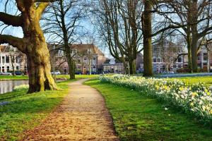 a path in a park with flowers and trees at De Pelgrimsplaats in Leiden +15 photos
