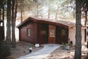 奥塔尔Kibbutz Ortal Tourism的树林中的小小屋,有门